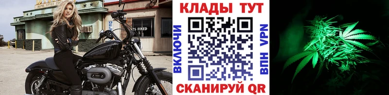 Наркошоп купить ГАШ  Галлюциногенные грибы  Мефедрон  Марихуана  Верхотурье