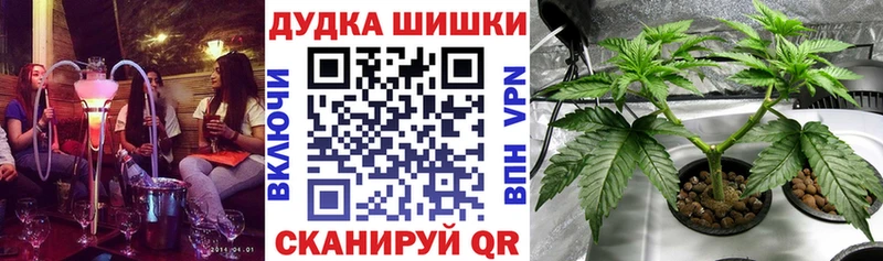 Купить закладки  Верхотурье  Конопля Amnesia 